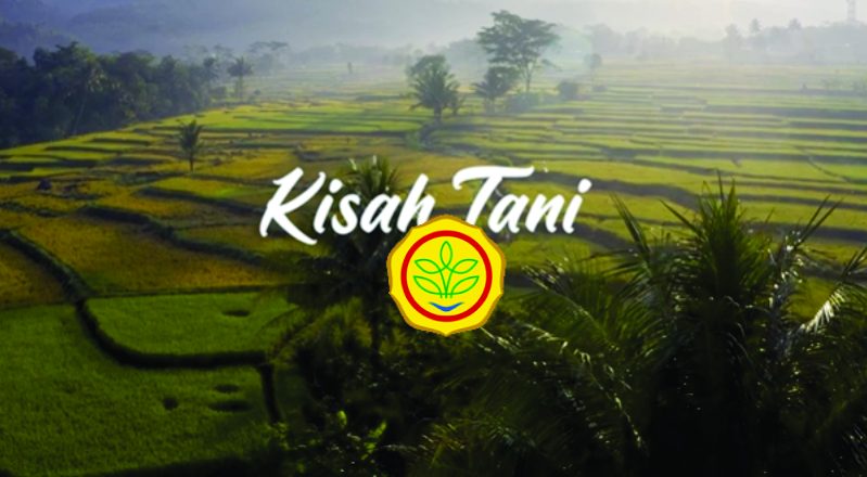 kisaih tani.jpg